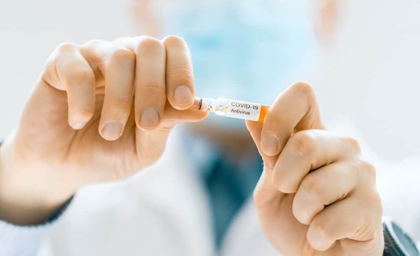 Comment prévenir l'apparition des fourmis au potager ?