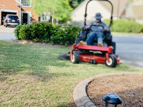 Ce qu'il faut savoir pour choisir la meilleure bordure de jardin